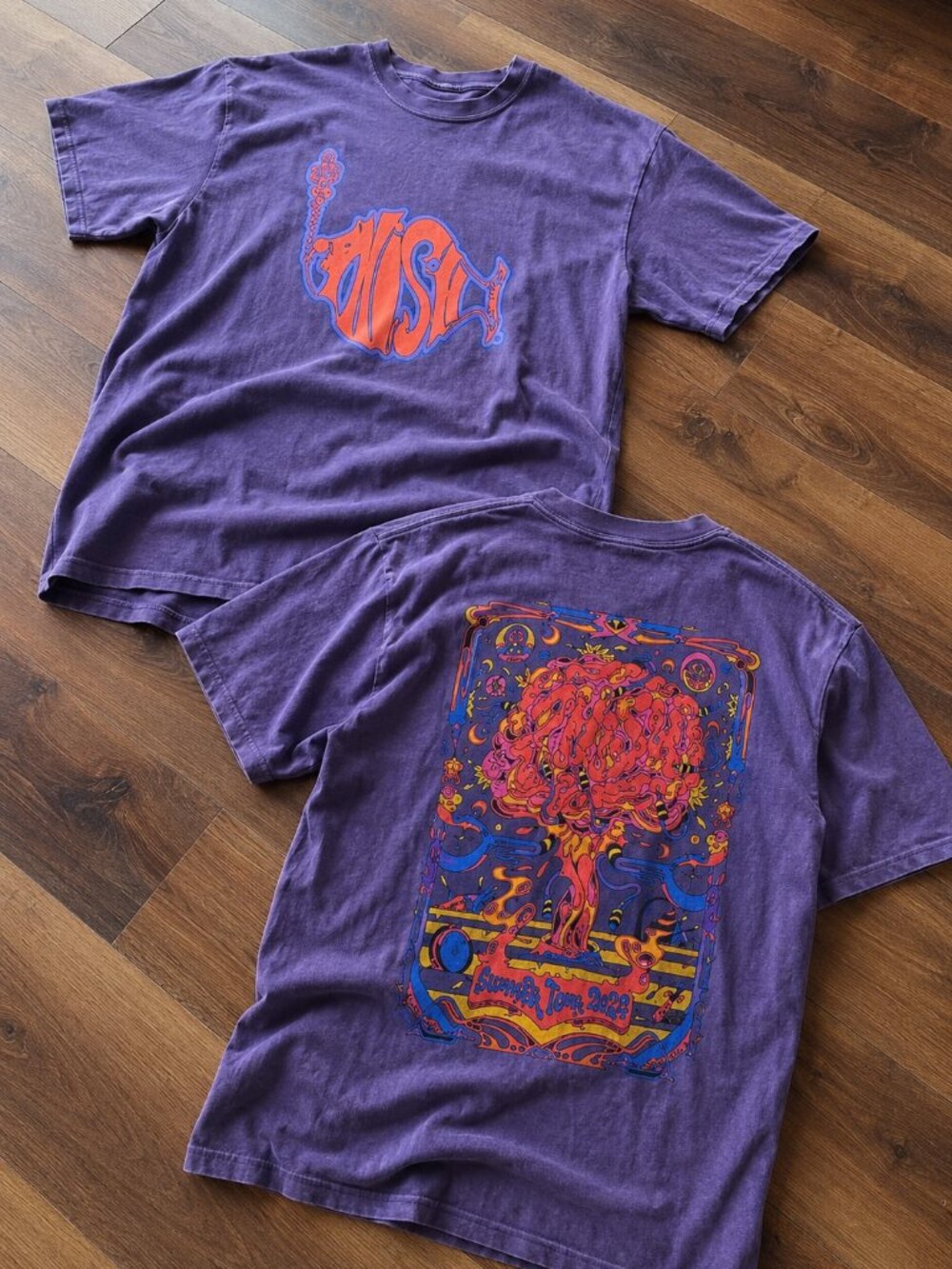 Phish Dry Goods Summer Tour 2026 What’S Going Through Your Mind T-Shirt